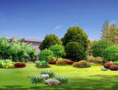 東坡區(qū)蓮花農(nóng)場(chǎng)