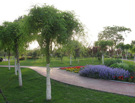 對(duì)坡村黨群服務(wù)中心